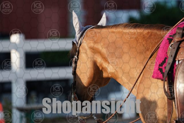 s_A_900176.JPG